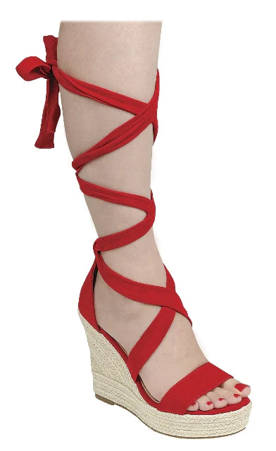 MS. TINA WEDGE